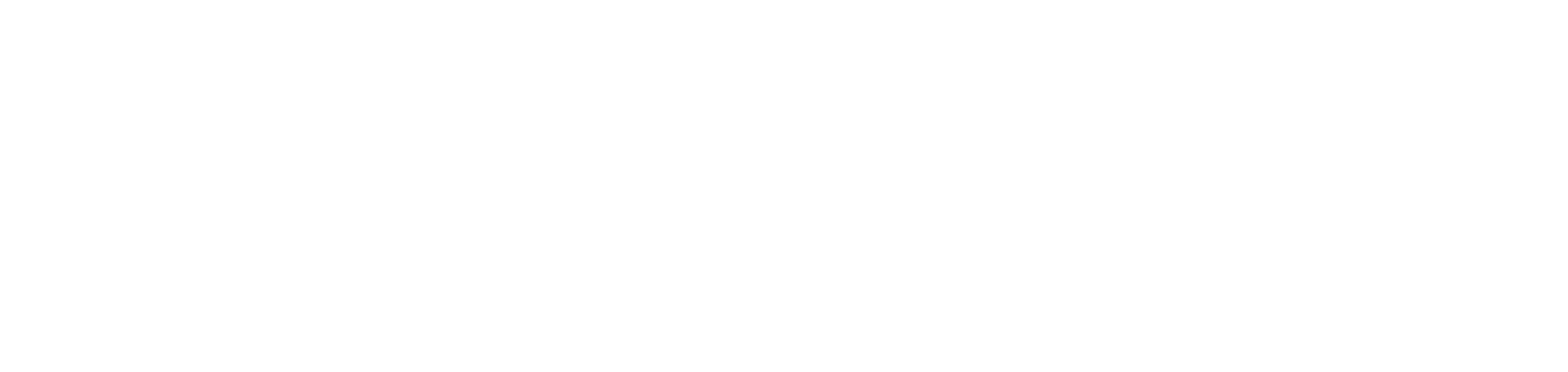 NAVIS HR Logo
